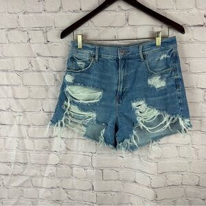 American Eagle highest rise 90s boyfriend Distressed denim Jean Shorts sz 10
